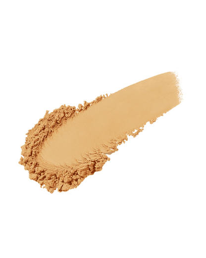 Pro Filt'r Soft Matte Powder Foundation — #255