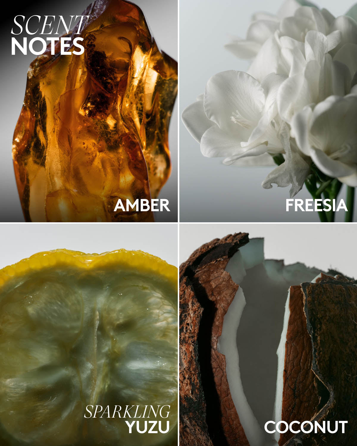 Butta Drop Hydrating Body Milk — Amber Bouquet